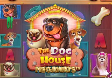 NOVOMATIC - игровой автомат онлайн от Various с RTP 97.84%